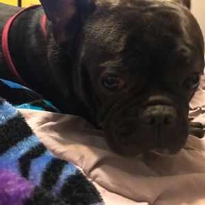 Meet your Posher, Alex